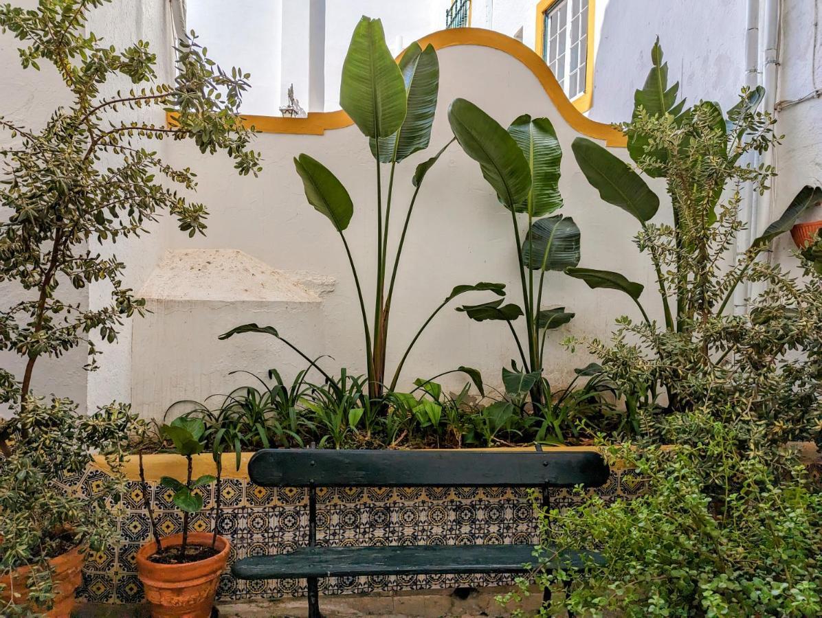 Hotel Solar De Monfalim Έβορα Εξωτερικό φωτογραφία